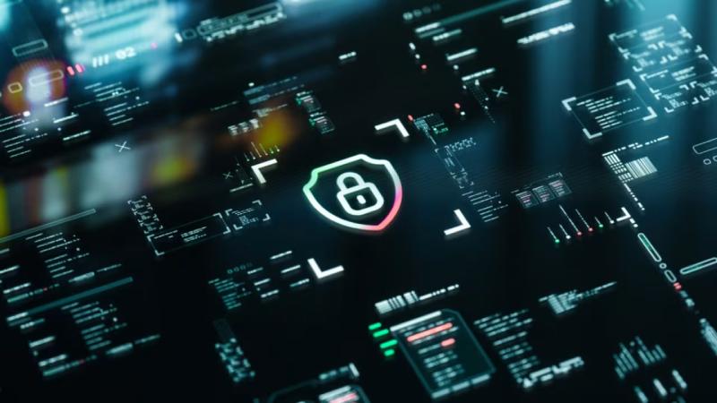 灞桥区软件开发公司